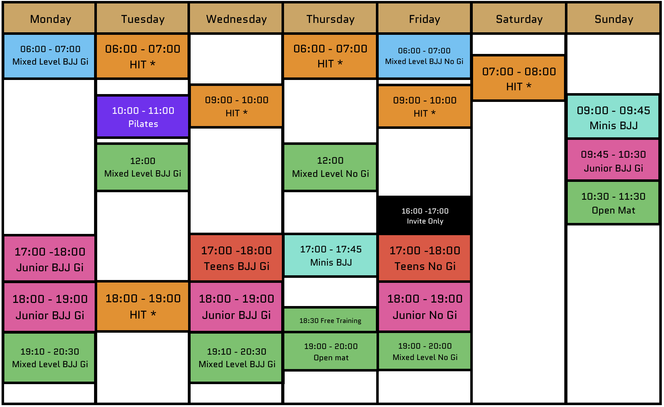 Gi, No Gi Brazilian Jiu Jitsu BJJ classes and Fitness HIT session