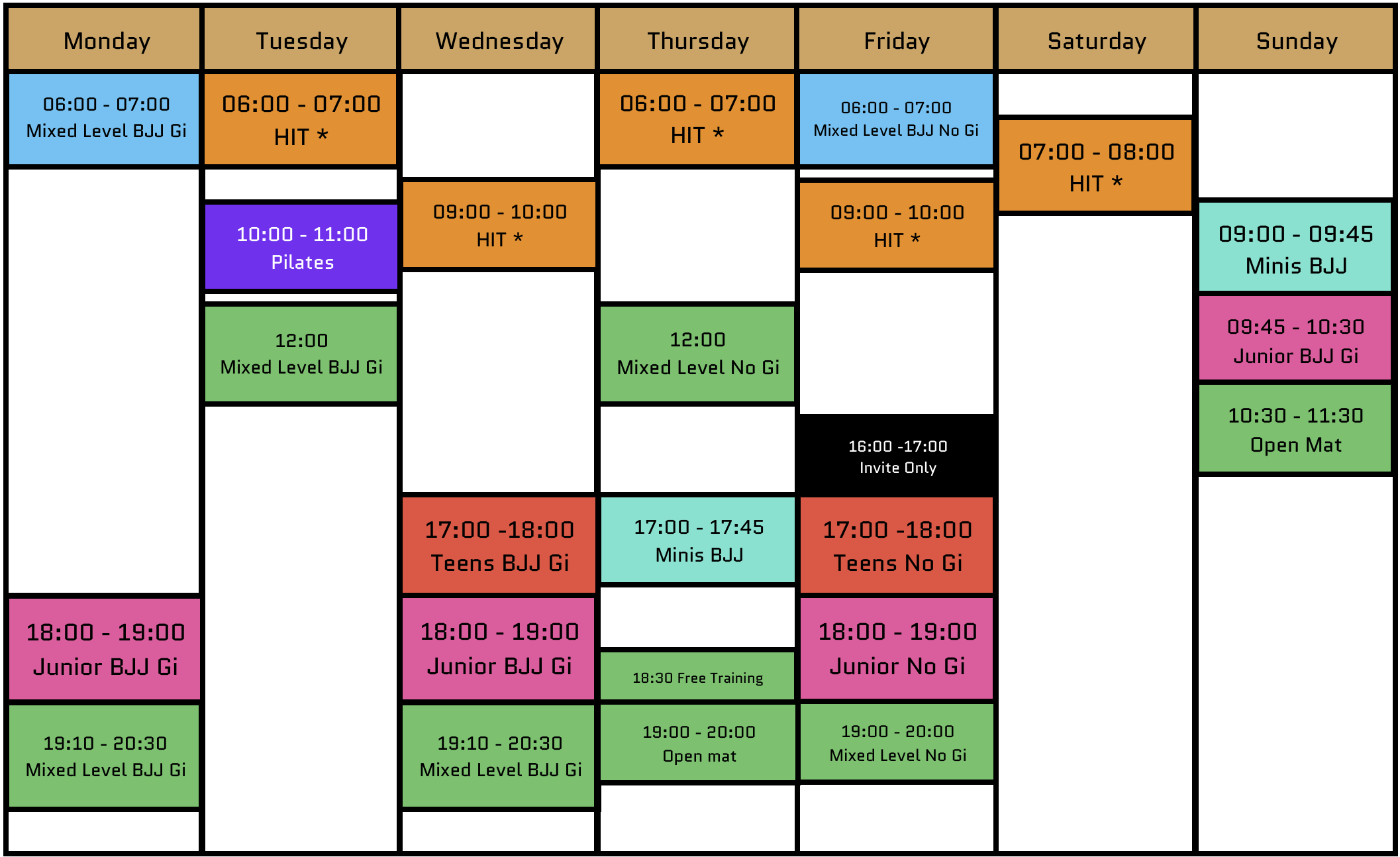 Gi, No Gi Brazilian Jiu Jitsu BJJ classes and Fitness HIT session
