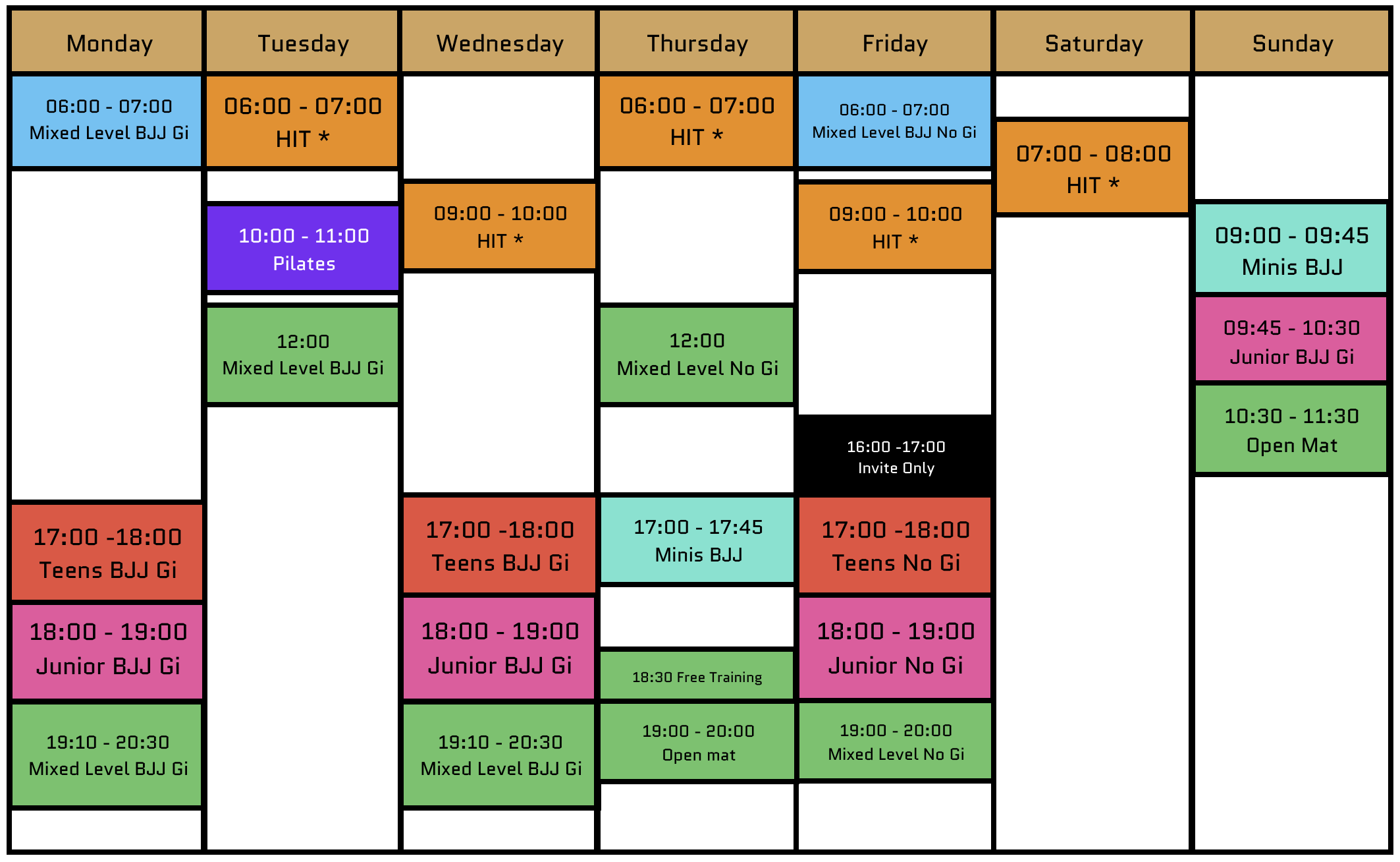 Gi, No Gi Brazilian Jiu Jitsu BJJ classes and Fitness HIT session