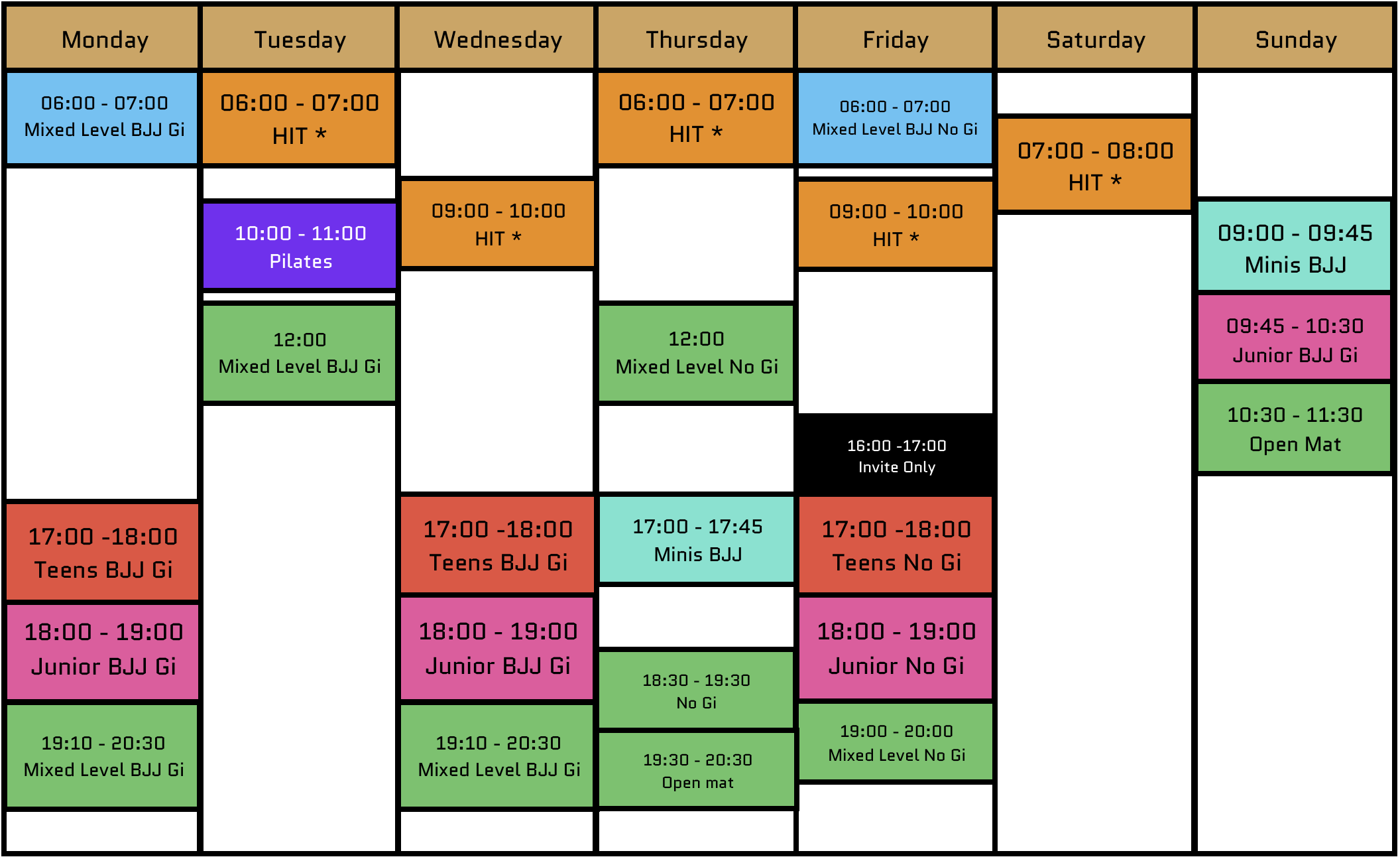 Gi, No Gi Brazilian Jiu Jitsu BJJ classes and Fitness HIT session