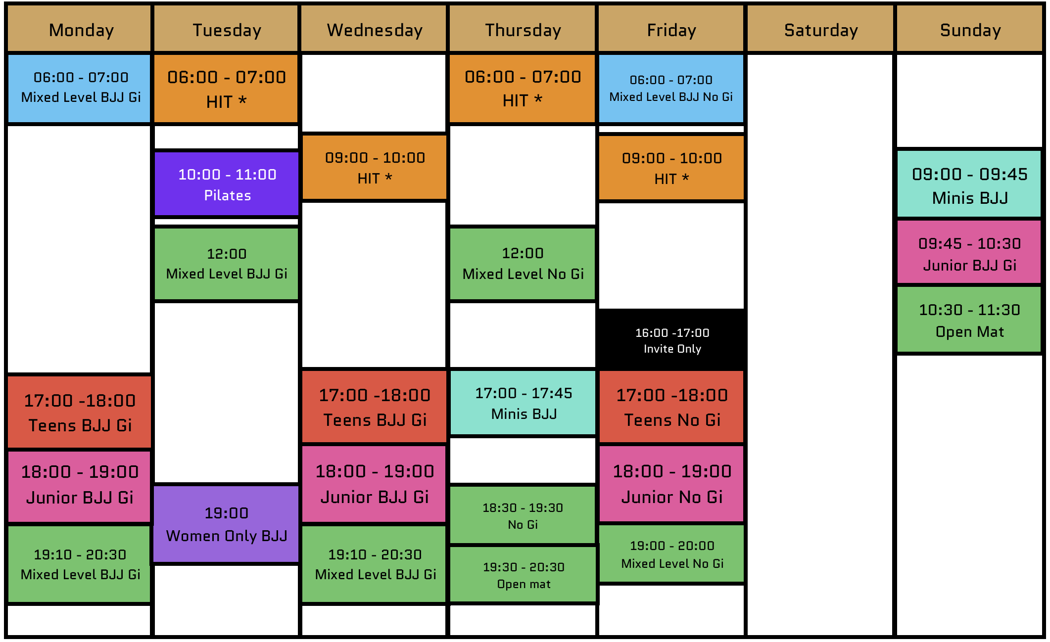 Gi, No Gi Brazilian Jiu Jitsu BJJ classes and Fitness HIT session